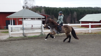 Ut och galoppera med Jenny Wictorsson