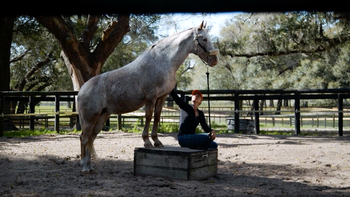 Episode #3. Can Tik Maynard Fix Her Liberty Training? (Plus an Unexpected Vet Diagnosis)- Noëlle Floyd: Unbridled