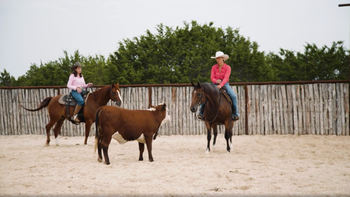 Episode #4. Mastering Ranch Sorting & Horse Cutting (From Texas to Colorado!)- Noëlle Floyd: Unbridled