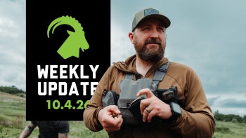 Weekly Update - 10.04.26