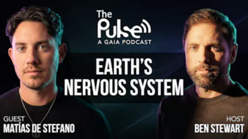 Earth's Nervous System