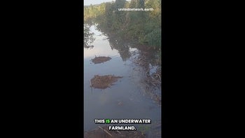 THE REEL - Unexpected Flood Devastates Farmland