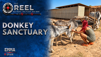 A New Beginning for Fuerteventura’s Forgotten Donkeys | Spain | Emma