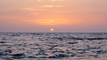 Sonntagsmeditation am 1. November um 17:30 Uhr mit Vilas