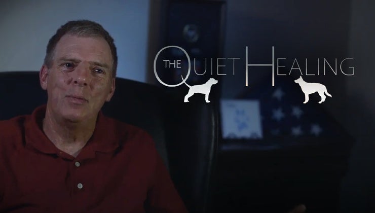 The Quiet Healing