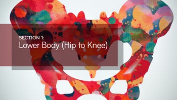 ITSV: Anatomy + Movement | Balanced Body Education Video