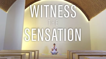 Witness the Sensation