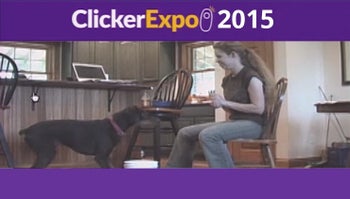 The More Advanced I Get, The Fewer "Advanced" Tools I Need