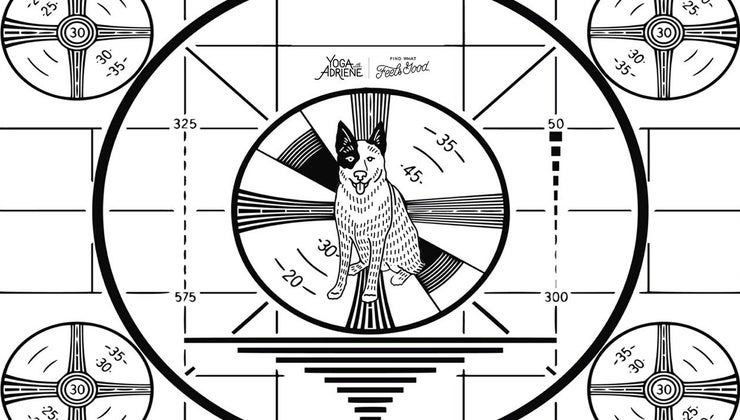 International Yoga Day - 2020