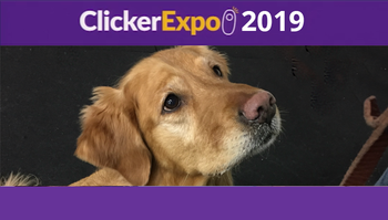 Keep Calm and Click On: Improvement in the Click to Calm Method