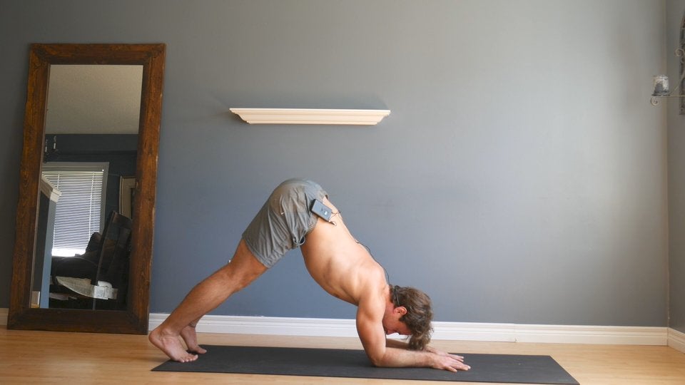 Pincha Program: Master the Pincha Mayurasana for Strength and Balance ...