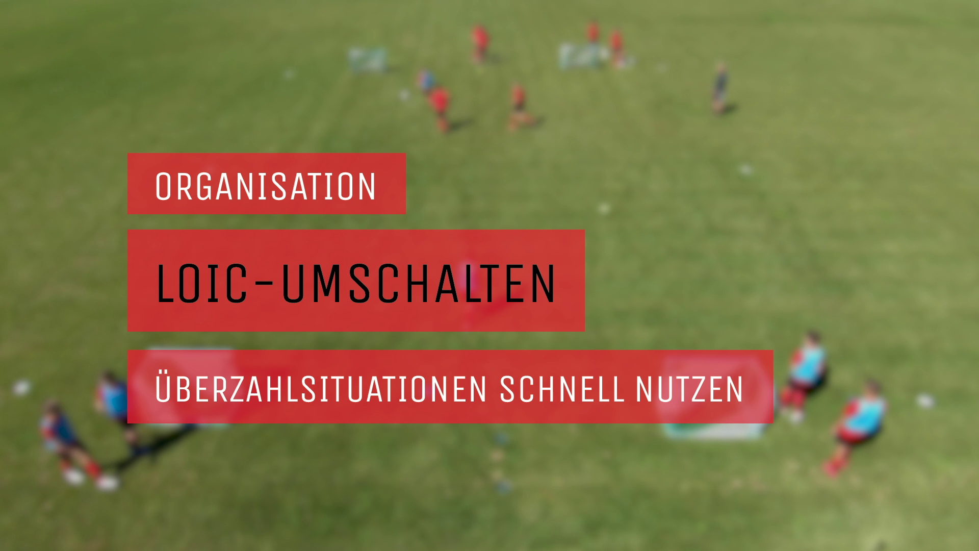 Loic-Umschalten | Organisation