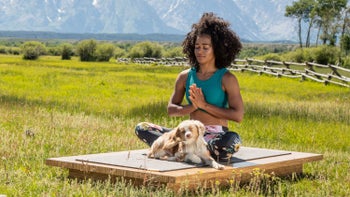 Meditation to Cultivate a Beginner's Mind