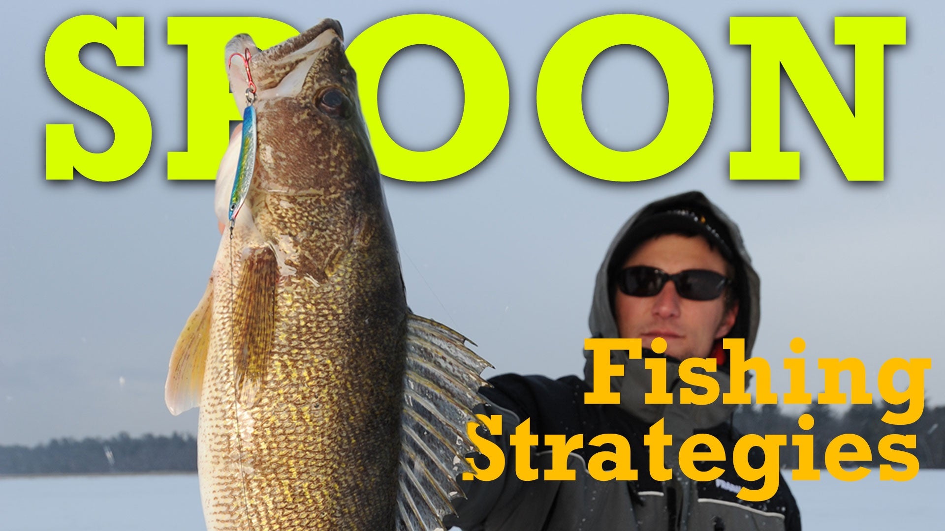 Spoon Fishing Strategies
