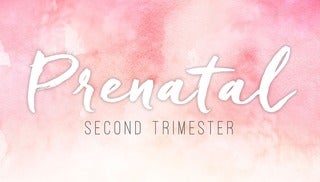 PRENATAL - Trimester 2