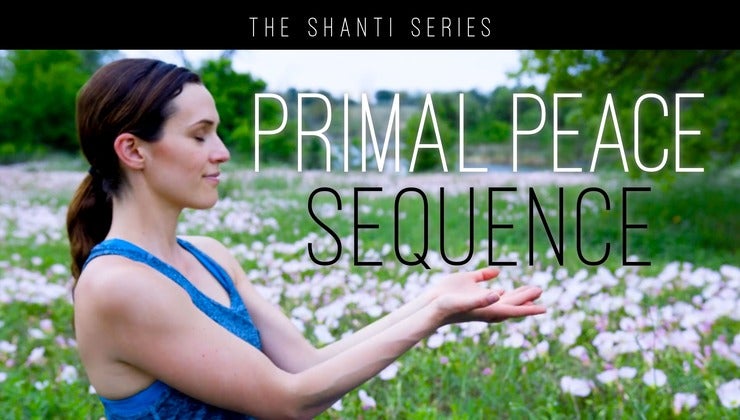 The Shanti Series - Primal Peace Sequence