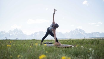 Manomaya Kosha: Steadiness & Equanimity