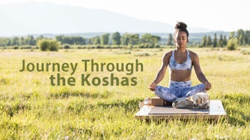 Journey Through the Koshas