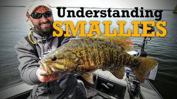 Understanding Smallmouth Bass