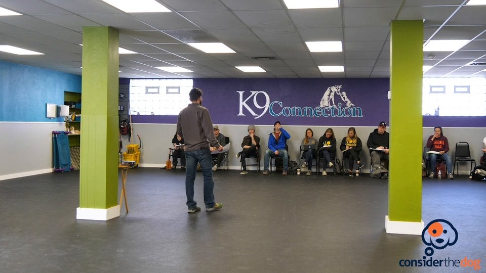 WhatTheCollarIsNot.TylerMuto.f.70.mp4