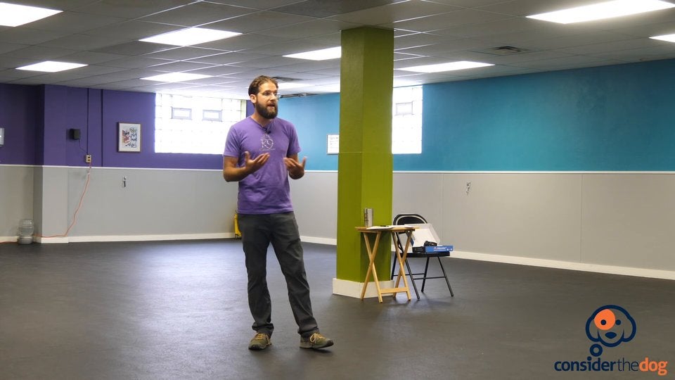 7. NegativeReinforcement.TylerMuto.f.70.mp4