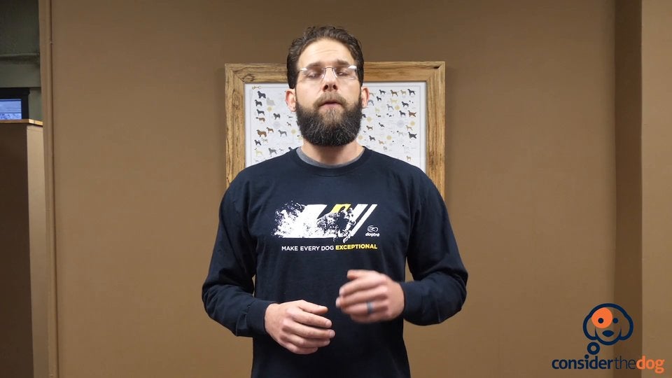 CourseIntro.TylerMuto.f.70.mp4