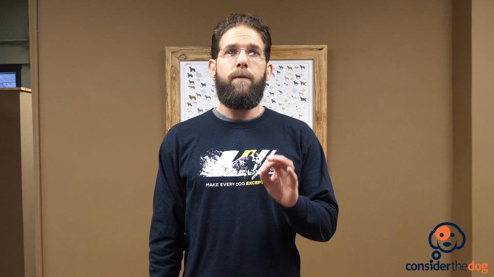 CourseOutro.TylerMuto.f.70.mp4