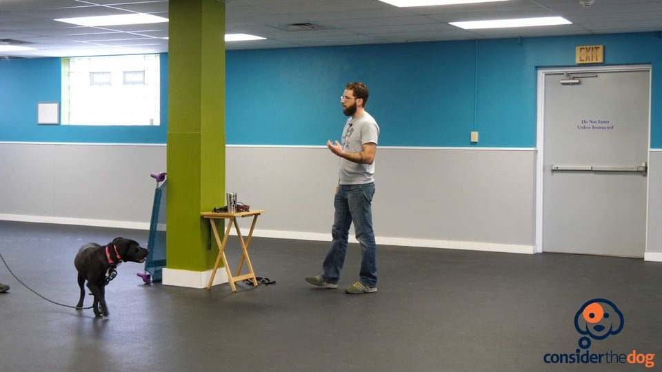 11. Avoidance.TylerMuto.f.70.mp4