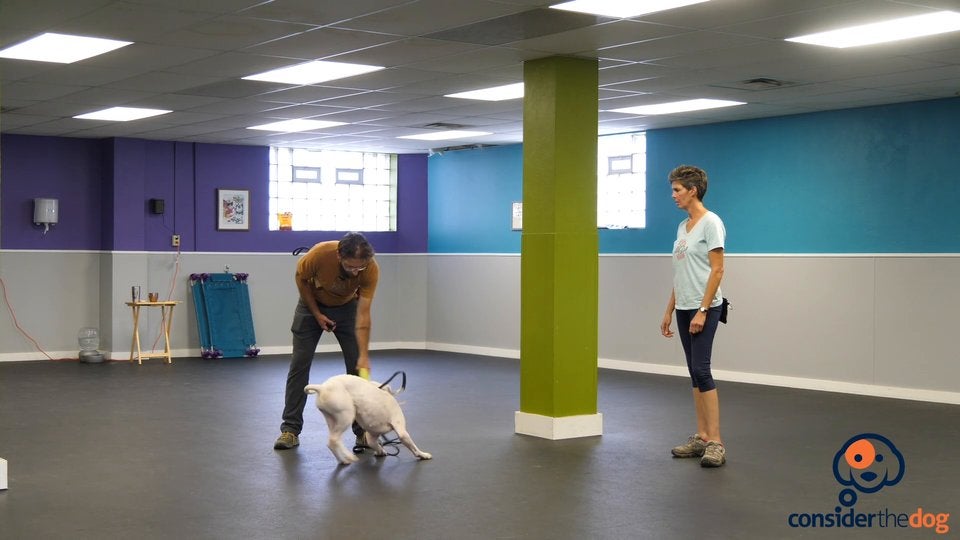 BonusOut.TylerMuto.f.70.mp4