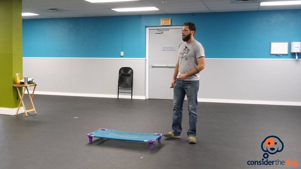 12. AvoidanceAdvanced.TylerMuto.f.70.mp4