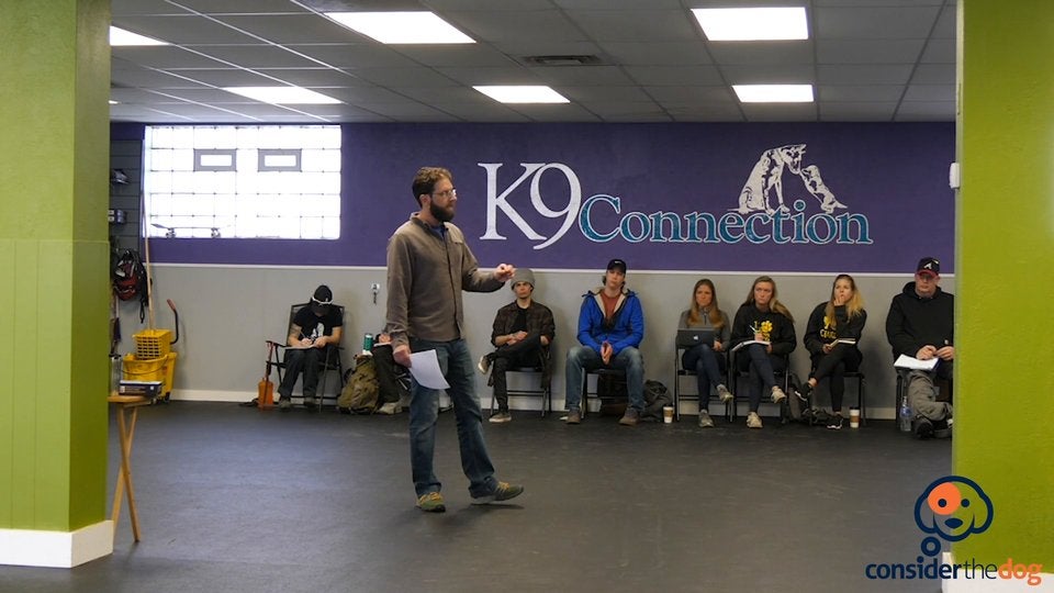 WhatToLookFor.TylerMuto.f.70.mp4