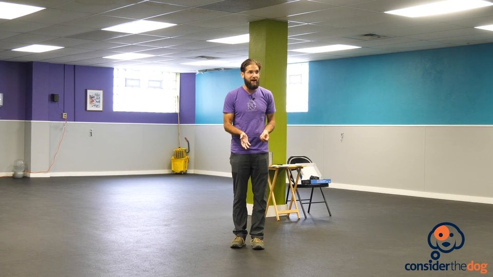 8. CollarConditioning.TylerMuto.f.70.mp4