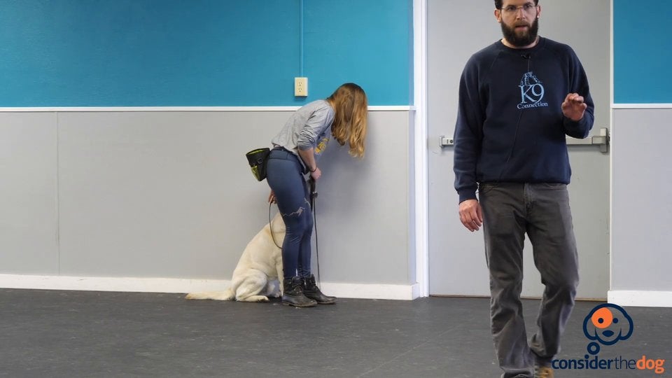 13. OnLeashHeel.TylerMuto.f.70.mp4