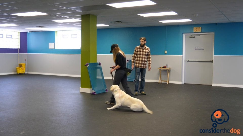 BonusExtraReps.TylerMuto.f.70.mp4