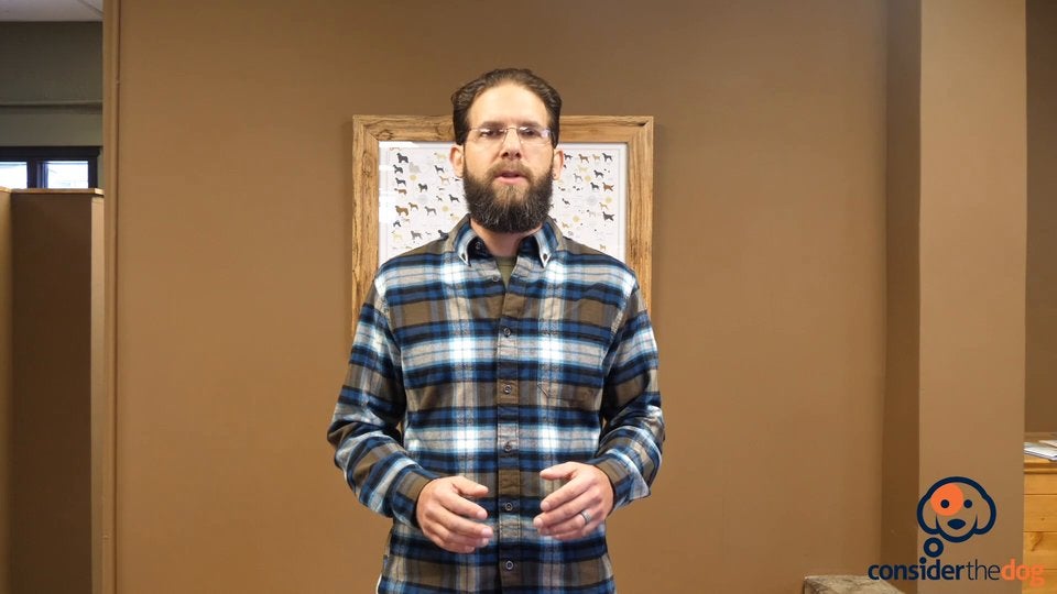 BonusIntro.TylerMuto.f.70.mp4