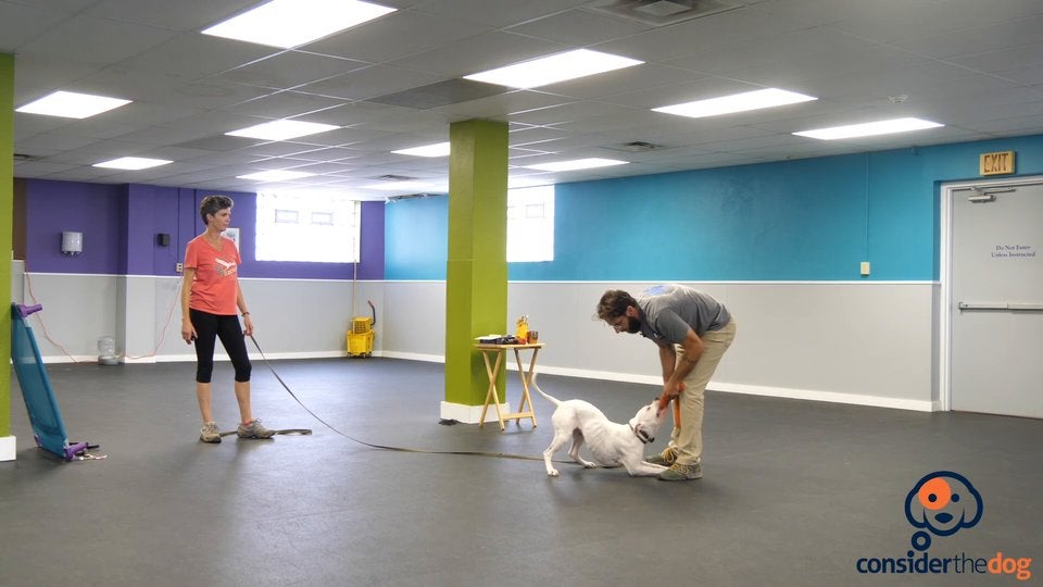 BonusRecallsTug.TylerMuto.f.70.mp4