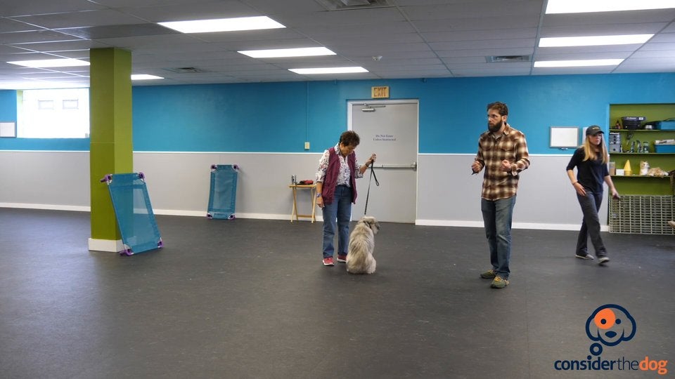 BonusCreatingDrive.TylerMuto.f.70.mp4