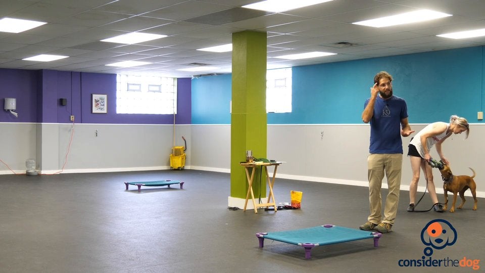 BonusTroubleshootPlace.TylerMuto.f.70.mp4