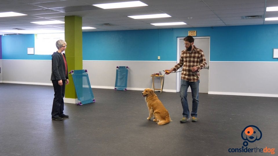 BonusSits.TylerMuto.f.70.mp4