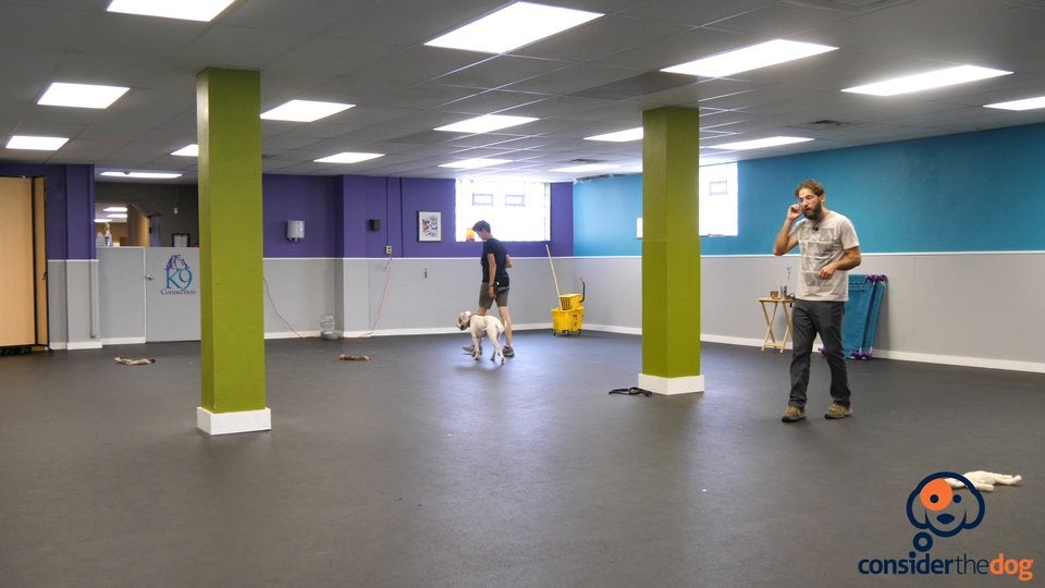 14. OffLeashHeel.TylerMuto.f.70.mp4