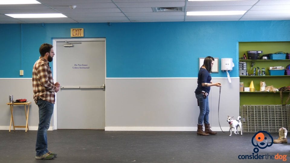 BonusHeelPosition.TylerMuto.f.70.mp4