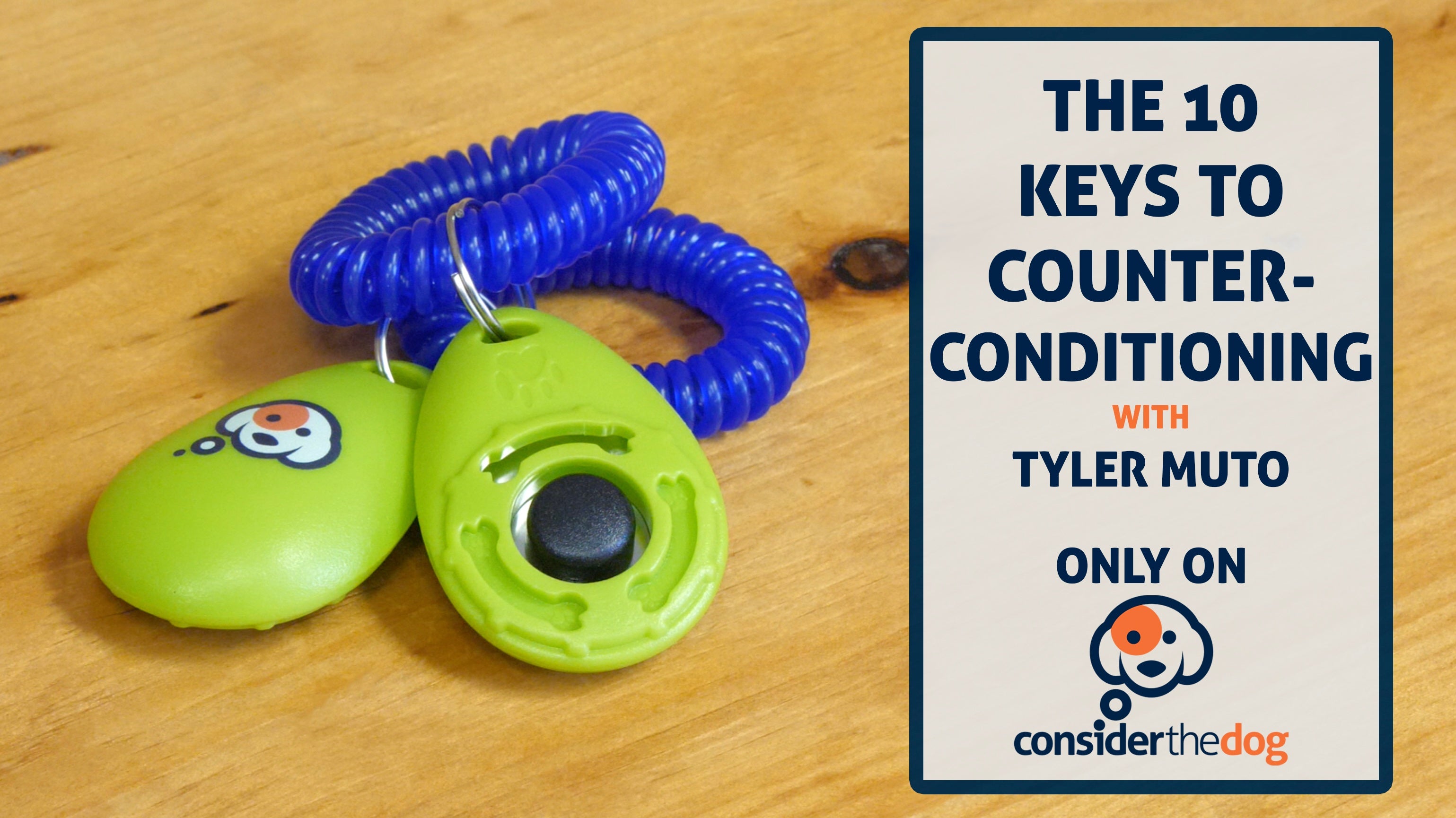 Counterconditioning in Dog Training