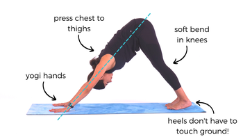 Down Dog | Yoga Pose Breakdown