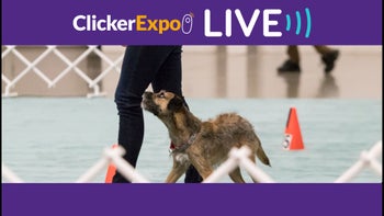 Empty Pockets, Full Connection: Preparing for No Reinforcement in the Ring