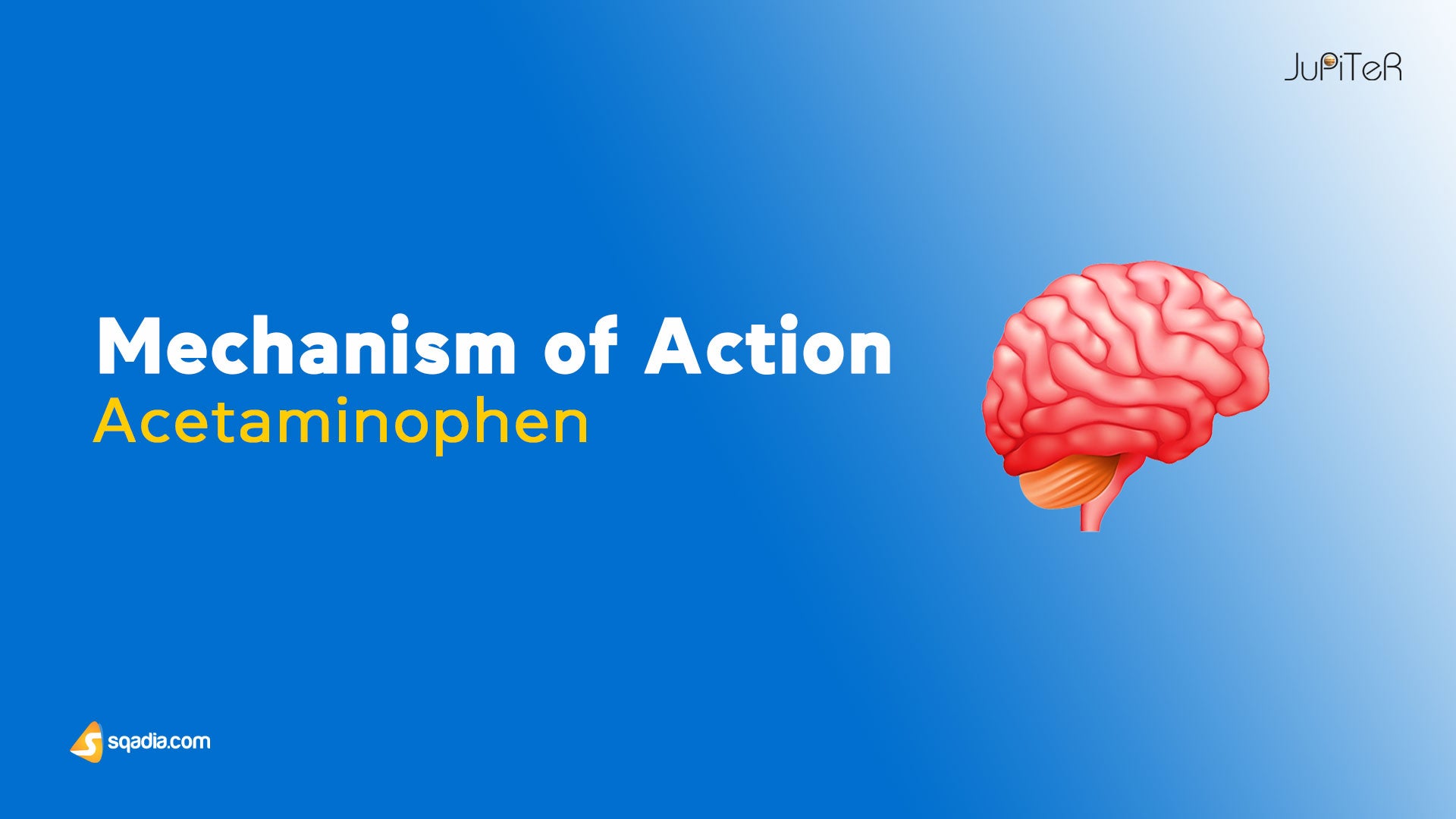 Acetaminophen Mechanism of Action