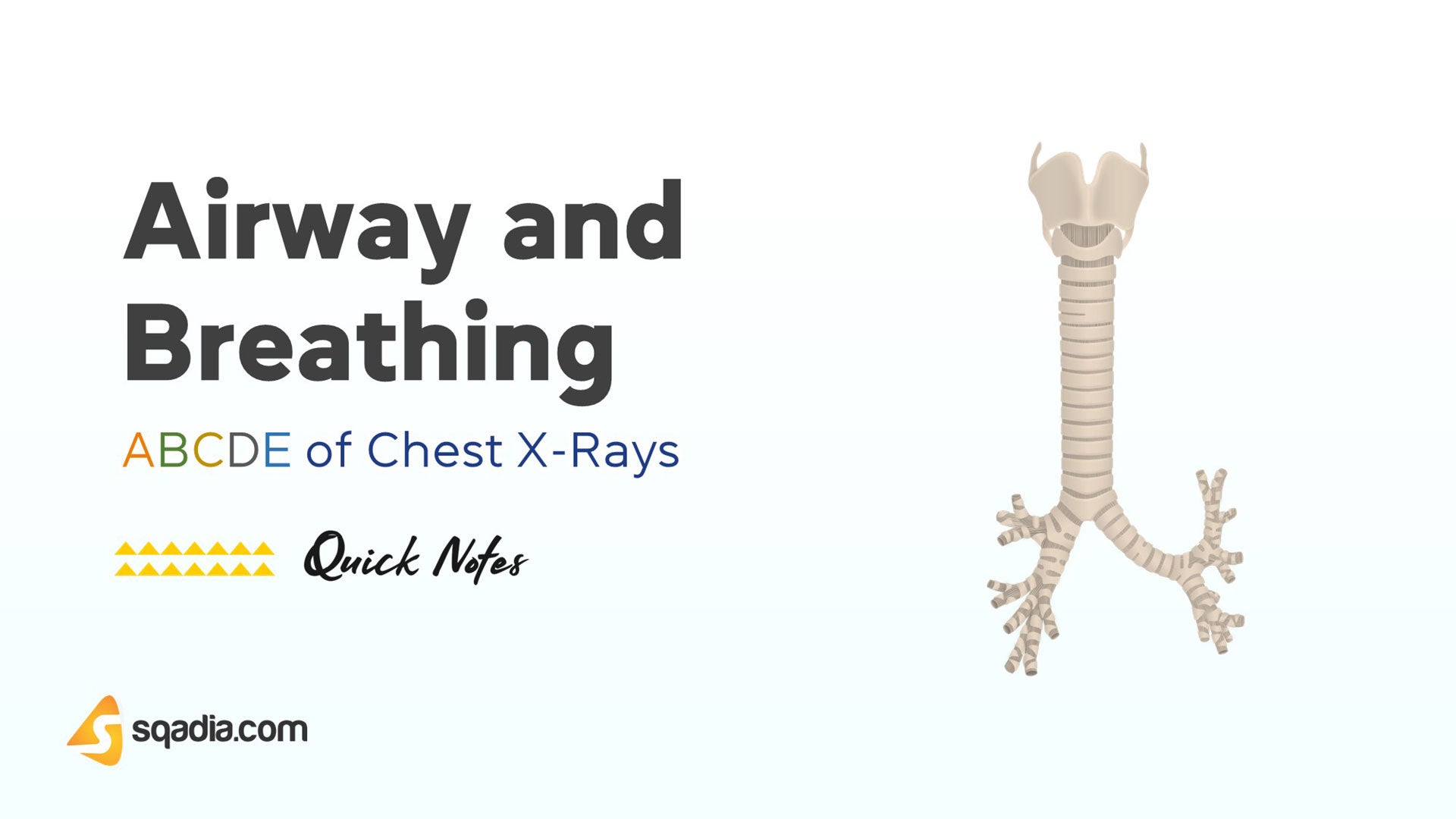 ABCDE of Chest XRays Airway and Breathing