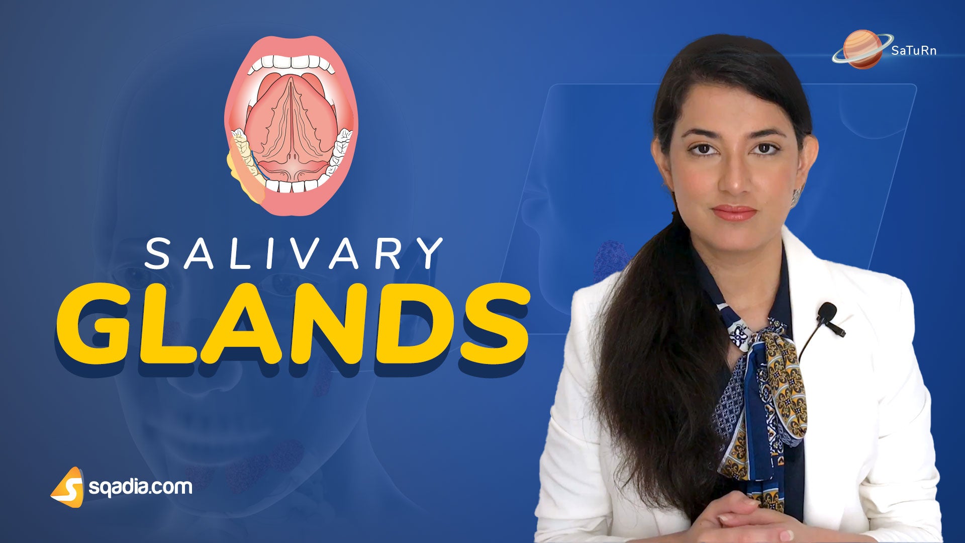 Salivary Glands Introduction