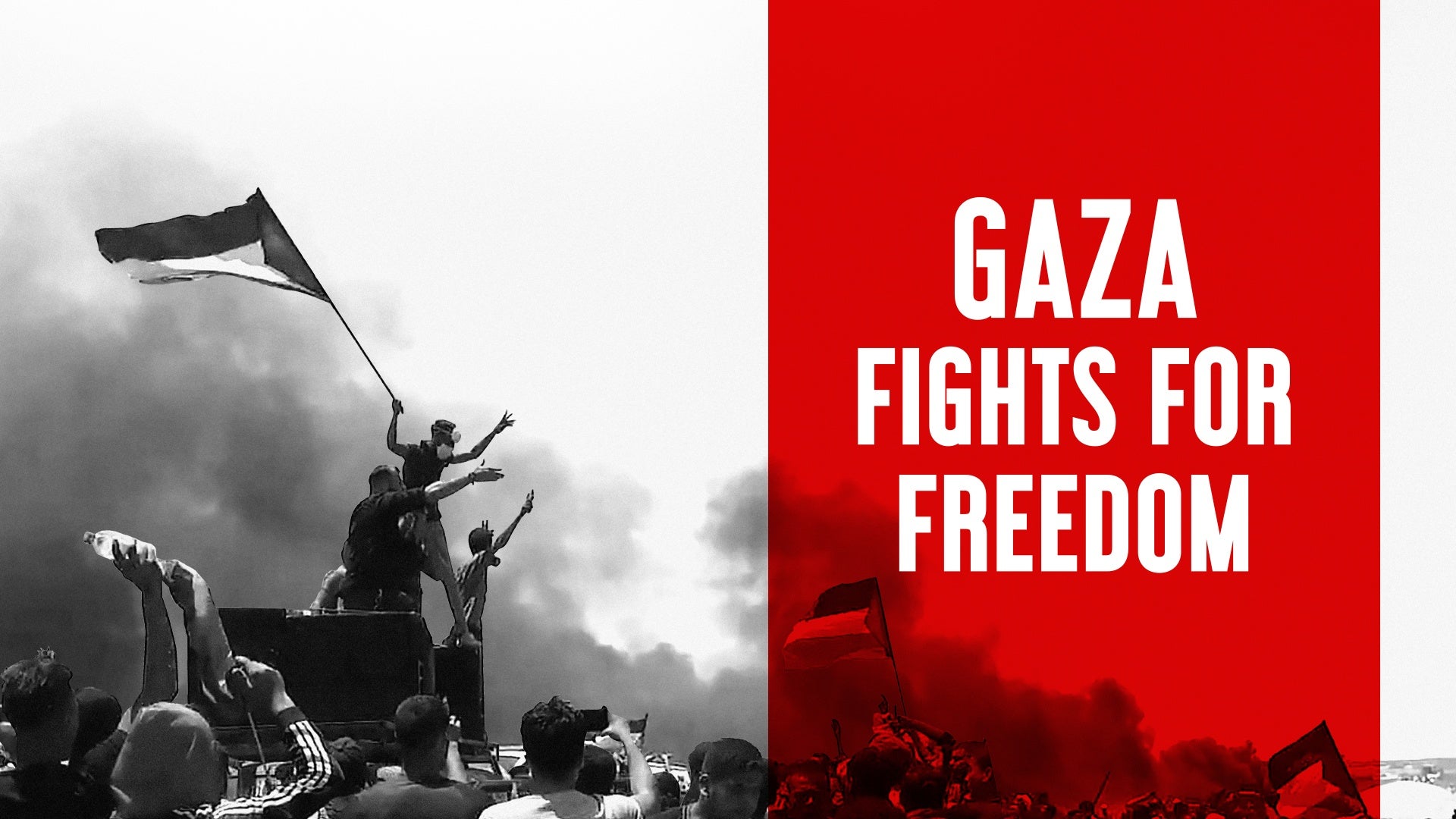 Gaza Fights for Freedom
