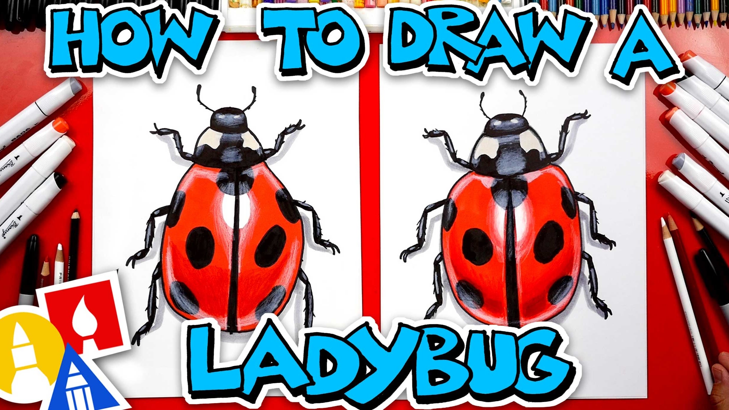 How To Draw A Realistic Ladybug | Art For Kids Hub