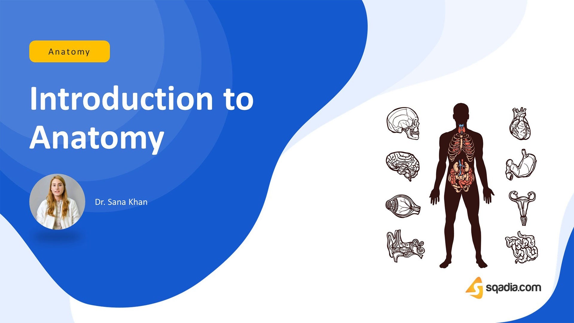 Introduction To Anatomy Introduction Introduction To Anatomy Introduction